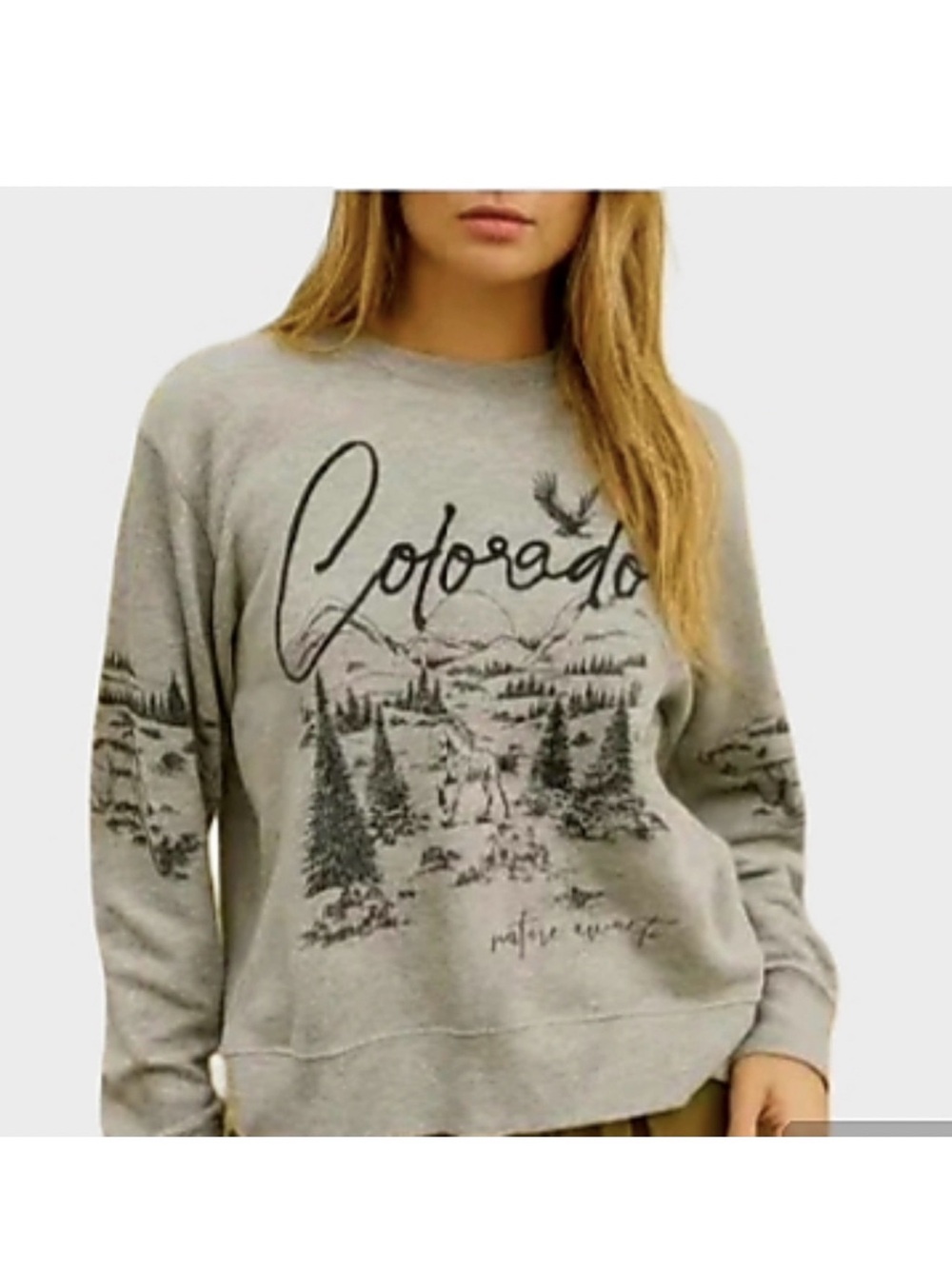 Avra Women's Gray Colorado Rocky Mountains Pullover Oversize Sweatshirt. Size M